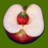 Still Life Apple with Strawberry